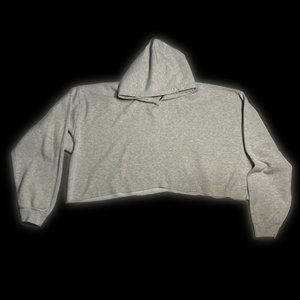 Rani Ban Co Cropped Gray Hoodie